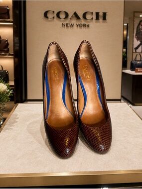 COACH Brown Textured Leather Pointed-Toe Pumps